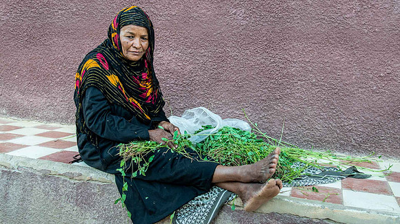 Agricultural Economy