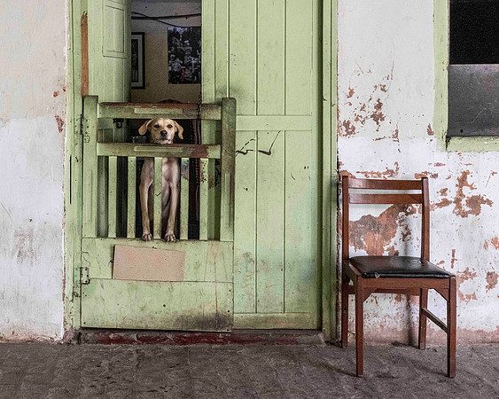 Inside of the courtyard of traditional houses converted to multi-occupancy