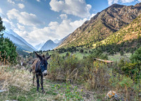 DSC_5808_tonemapped-2