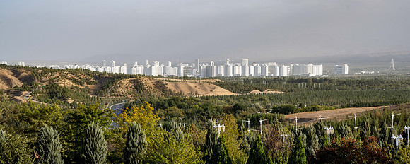 DSC_6498-2