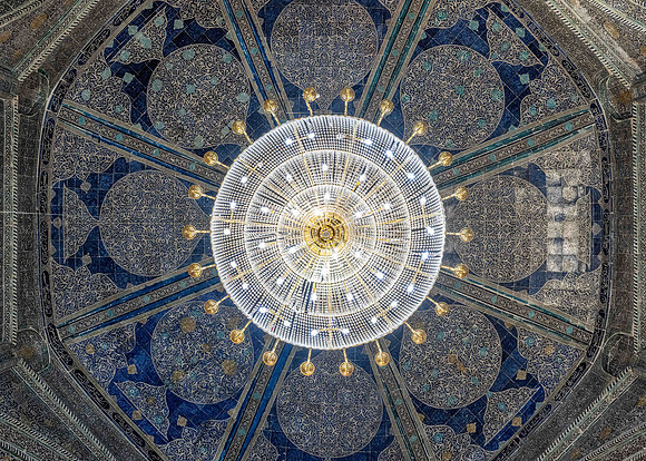 DSC_6003