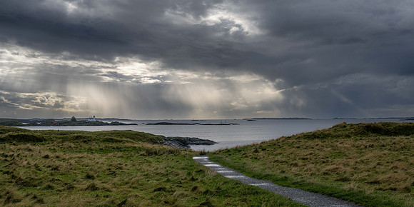DSC_6705