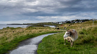 DSC_6715