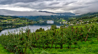 DSC_6845_6_7_8_9