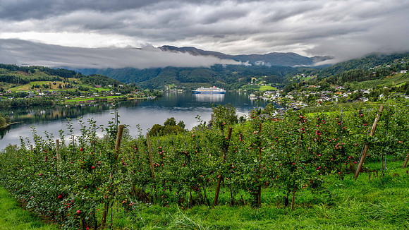DSC_6845_6_7_8_9
