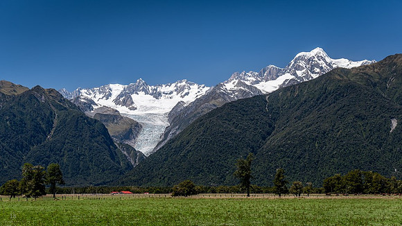 Fox Glacier