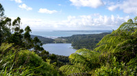 Waitākere Ranges Regional Park - native rainforest