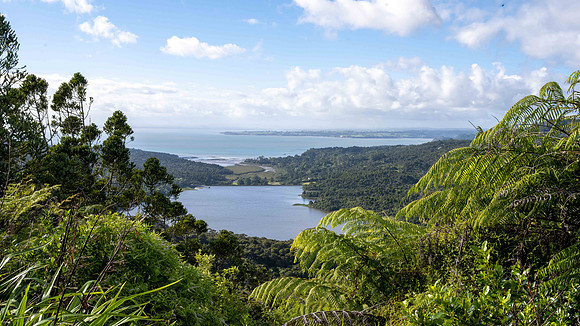Waitākere Ranges Regional Park - native rainforest