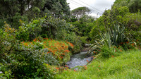 Waitakere Regional Parkland