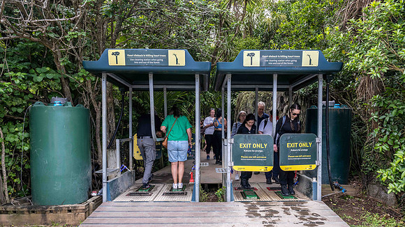 Shoe cleaning at entrance to Waitakere Regional Parkland