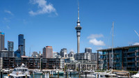 Central Auckland skyline from the harbour