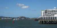 The island of Devonport from the harbour area