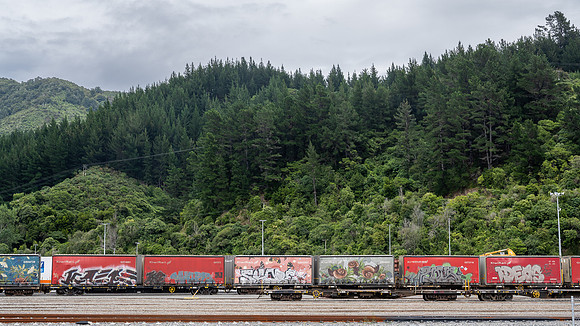 Railway carriages in Picton sidings