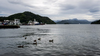 Picton Harbour