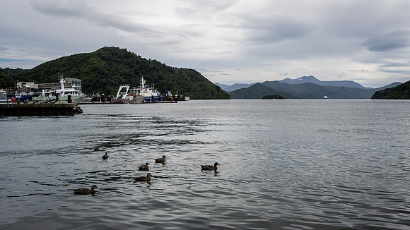 Picton Harbour