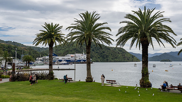 Picton Harbour