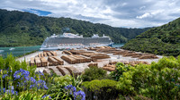 Picton timberyard with Discovery Princess