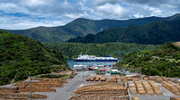 Picton timberyard with inter-island ferry leaving