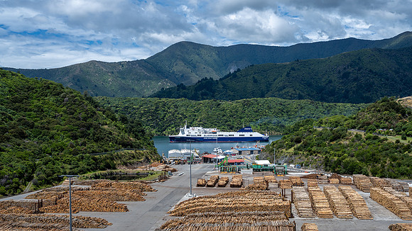 Picton timberyard with inter-island ferry leaving