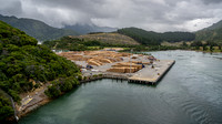Picton timberyard from Discovery Princess on departure