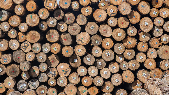 Timberyard at Lyttelton