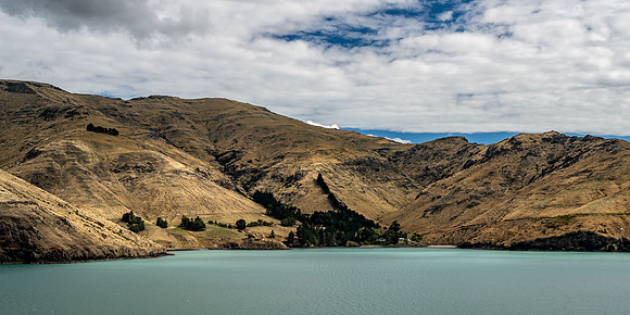 Otago Peninsula - outer waterway