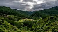 Dunedin and Taieri Gorge