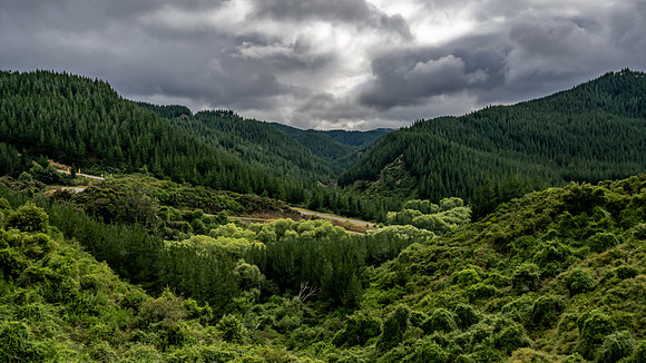 Taieri Gorge