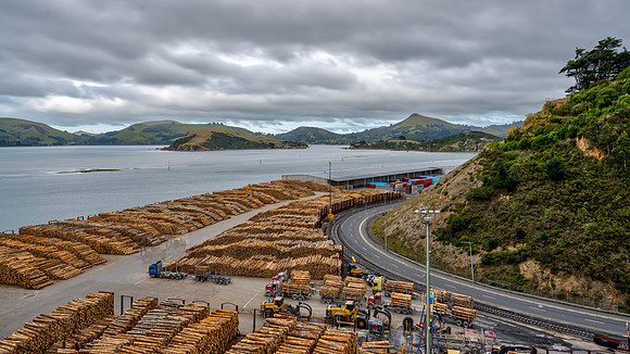 Port Chalmers timberyard
