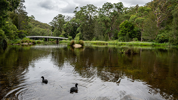 Royal National Park