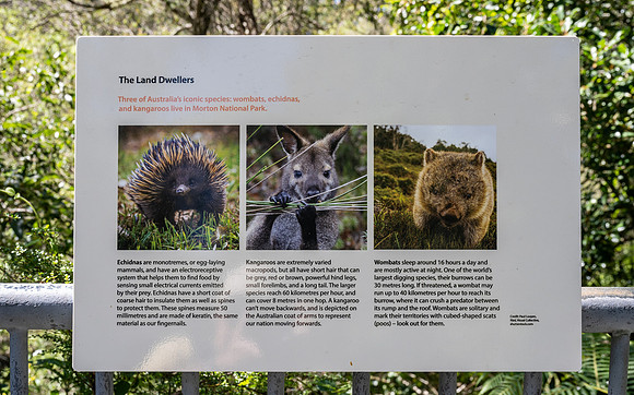 Three of Australia's iconic species