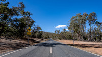 Kangaroo warning - road to Mt Ainslie