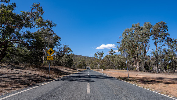 Kangaroo warning - road to Mt Ainslie