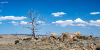 Barren landscape - road to Jindabyne