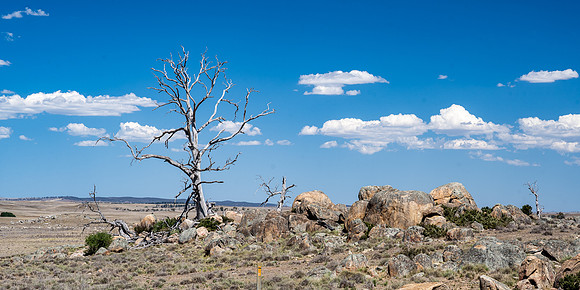 Barren landscape - road to Jindabyne