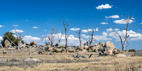 Barren landscape - road to Jindabyne