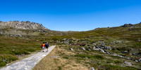 Path to Mt Kosciuszko summit