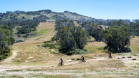 Summer mountain biking replaces skiing