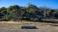 Dead Horse Gap