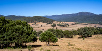 View of Murray Gorge