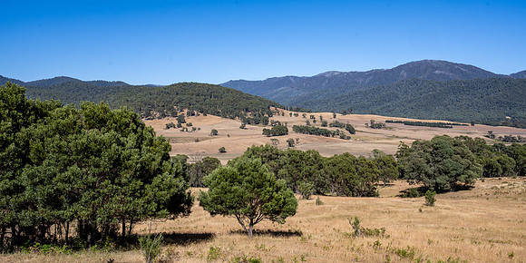 View of Murray Gorge