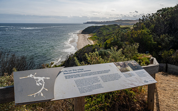 Mushroom Reef Marine Sanctuary