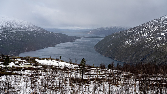 Ofotfjord