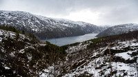 Ofotfjord