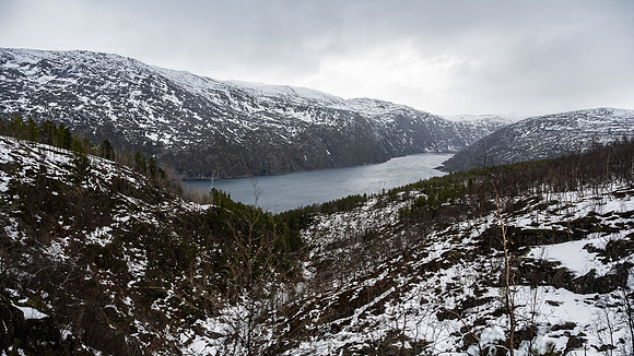 Ofotfjord