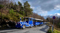 Tourist Train