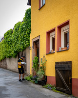 DHL man matches the house