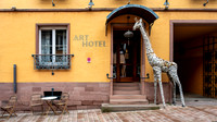 Long neck in Neckargemund