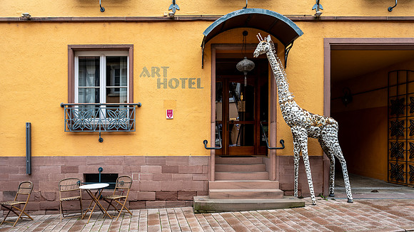 Long neck in Neckargemund