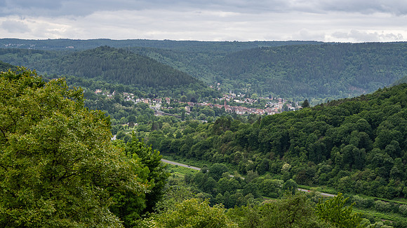 View of the Neckar Valley from the Dilsburg Fortress